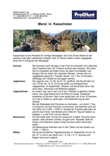 Maral in Kasachstan - PROFI HUNT