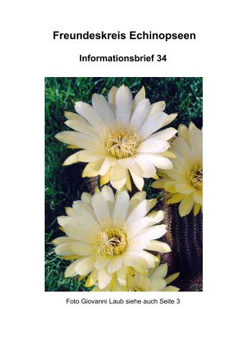 Freundeskreis Echinopseen Informationsbrief 34