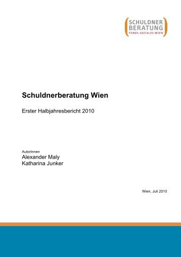 2. Leistungsdokumentation - Schuldnerberatung