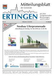 Neubau Uferpromenade - Ertingen