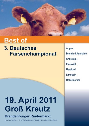 Fleischrinder - Rinderzucht Mecklenburg Vorpommern