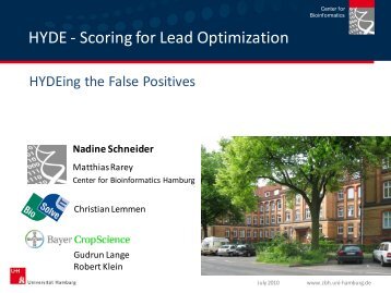 HYDE - Scoring for Lead Optimization