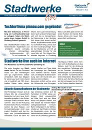 Tochterfirma pinnau.com gegründet Stadtwerke live auch im Internet