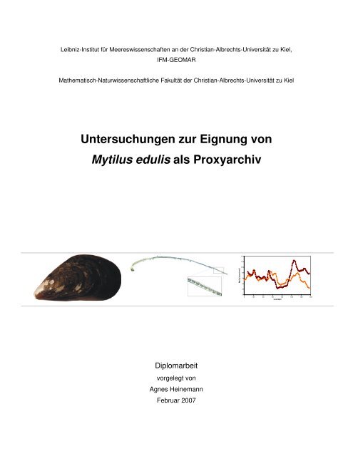Untersuchungen zur Eignung von Mytilus edulis als Proxyarchiv