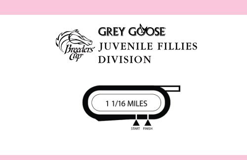 Grey Goose Breeders' Cup Juvenile Fillies