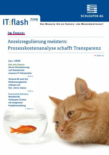 Prozesskostenanalyse schafft Transparenz - Schleupen AG