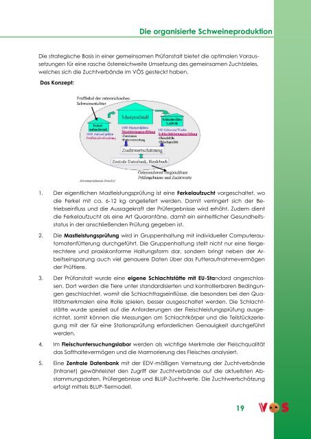 VÖs-Jahresbericht 2009 Schweinehaltung in ... - Schweine.at