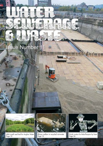 Issue Number 11 - Water, Sewerage & Waste