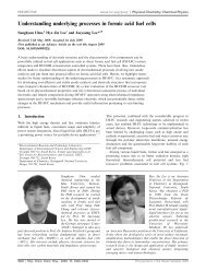 Understanding underlying processes in formic acid fuel cells