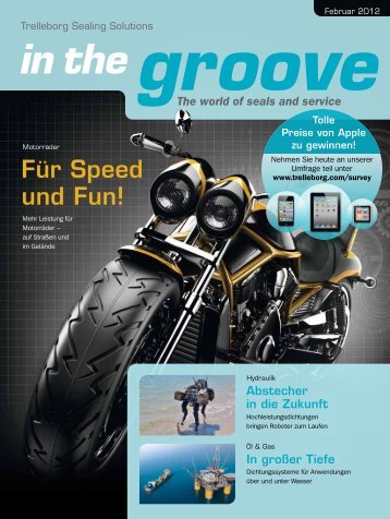 groove in the - Trelleborg Sealing Solutions