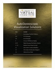 AutoStereoscopic Visualization Solutions