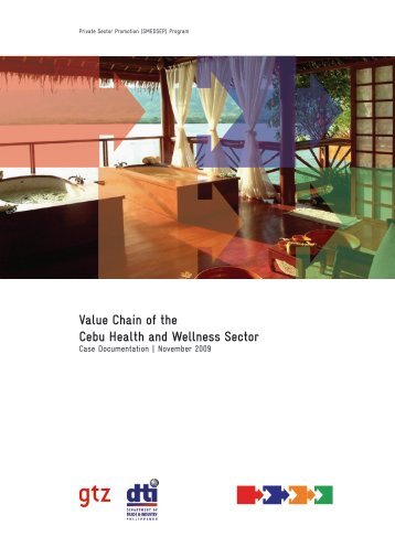 Value Chain of the Cebu Health and Wellness Sector - SMEDSEP.ph