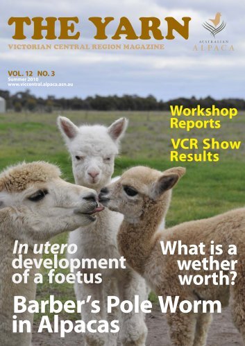 Yarn Summer 2010 - Victorian Central Region - Australian Alpaca ...