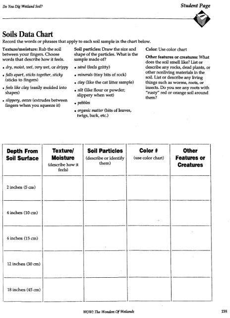 Do You Dig Wetland Soil?