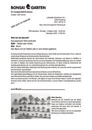 Restposten Bonsai Garten Allgau