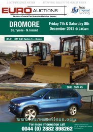 DROMORE - Euro Auctions