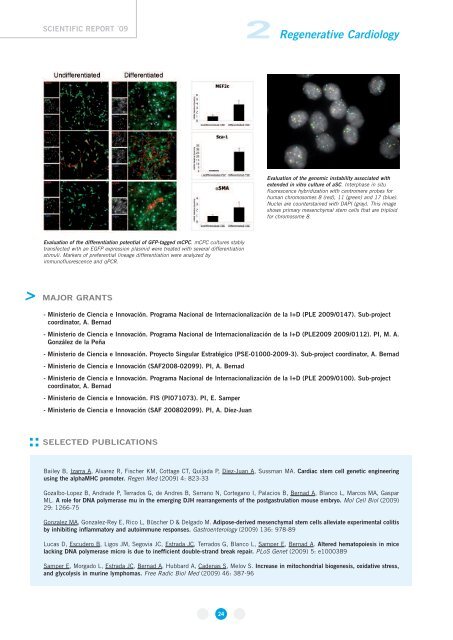 Appendix - CNIC