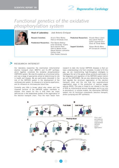 Appendix - CNIC