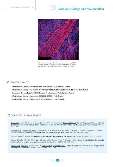 Appendix - CNIC