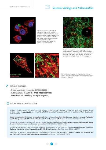 Appendix - CNIC