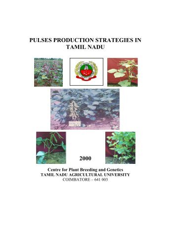 Pulses Production Strategies in Tamil Nadu - TNAU