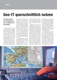 Geo-IT Spektrum II09 Artikel .pdf, pages 1 - ESG
