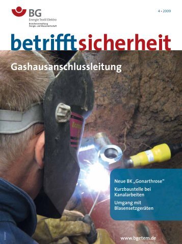 Gashausanschlussleitung - BG ETEM B-EW