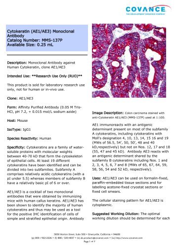 Cytokeratin (AE1/AE3) Monoclonal Antibody Catalog ... - Eurogentec