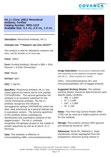 HA.11 Clone 16B12 Monoclonal Antibody, Purified ... - Eurogentec