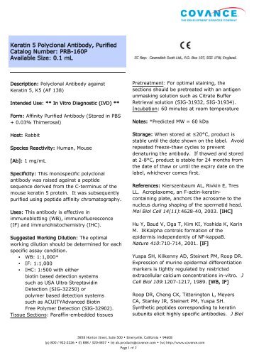 Keratin 5 Polyclonal Antibody, Purified Catalog ... - Eurogentec