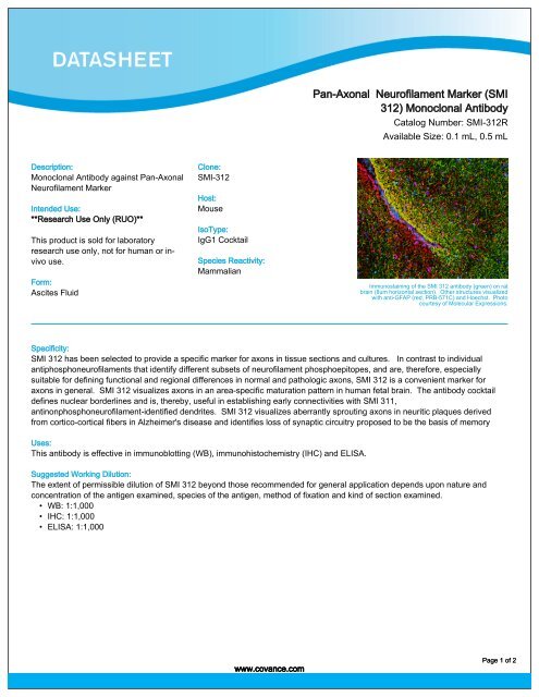 Pan-Axonal Neurofilament Marker (SMI 312 ... - Eurogentec