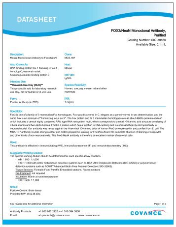 FOX3/NeuN Monoclonal Antibody, Purified - Eurogentec