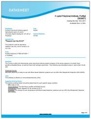 H. pylori Polyclonal Antibody, Purified (SIGNET) - Eurogentec