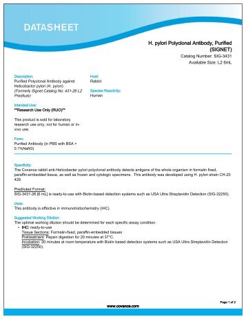 H. pylori Polyclonal Antibody, Purified (SIGNET) - Eurogentec