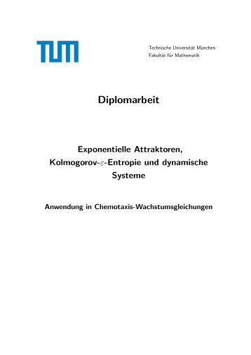 Exponentielle Attraktoren, Kolmogorov-ε-Entropie und dynamische