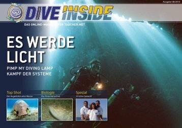 Web-Version (11.4 MB) - DiveInside