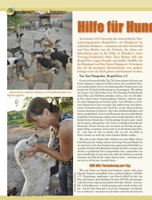 pdf-download der gesamten Ausgabe - Freiheit für Tiere