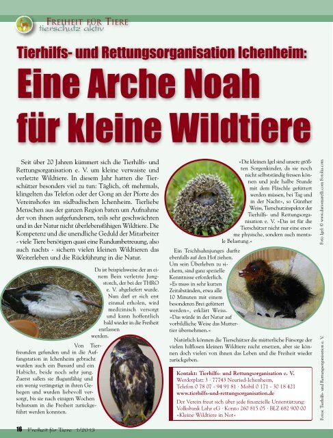 pdf-download der gesamten Ausgabe - Freiheit für Tiere