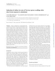 Induction of callose in roots of Norway spruce ... - Tree Physiology