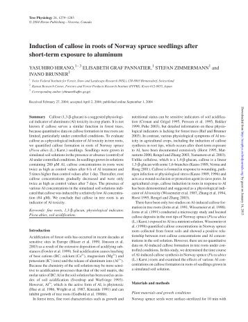 Induction of callose in roots of Norway spruce ... - Tree Physiology