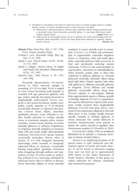 FOUR NEW SPECIES OF THE GENUS ALOYSIA (VERBENACEAE)