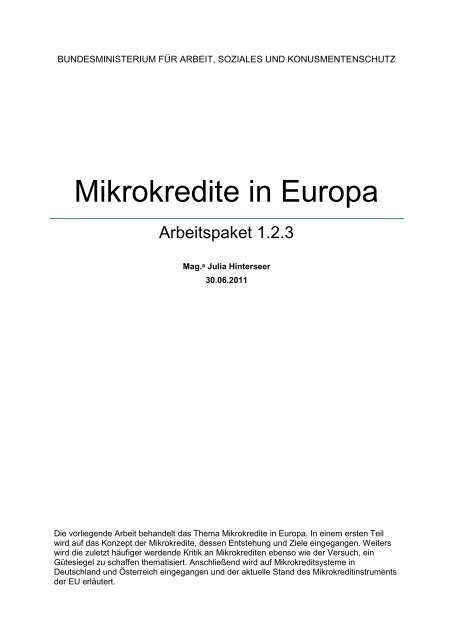 Mikrokredite In Europa Bundesministerium Fur Arbeit Soziales Und