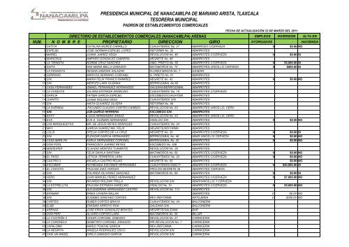 comercios 2011.xlsx - Nanacamilpa de Mariano Arista