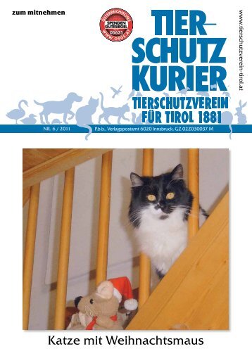 Katze mit Weihnachtsmaus - Tierschutzverein für Tirol