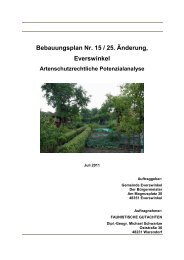 Bebauungsplan Nr. 15 / 25. Änderung, Everswinkel