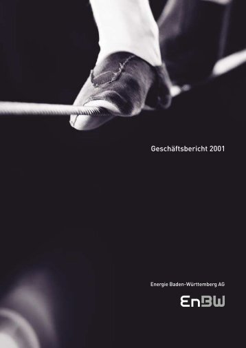 Geschäftsbericht 2001 (pdf 1 MB) - EnBW