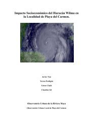 Impacto Socioeconómico del Huracán Wilma en la Localidad de ...