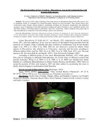 The first breeding of Fea's Treefrog - Amphibian Ark