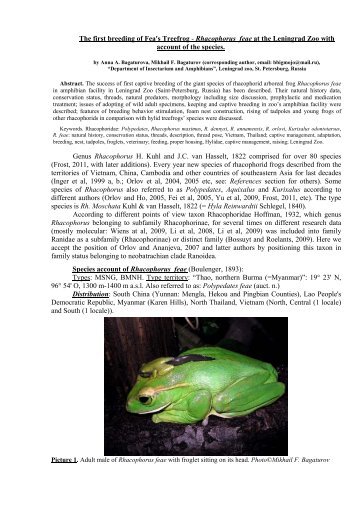 The first breeding of Fea's Treefrog - Amphibian Ark