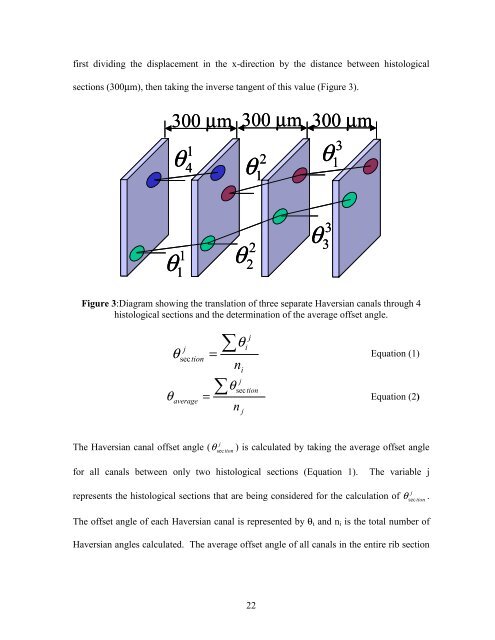 Microstructural And Mechanical Properties Of Human Ribs Joseph